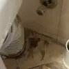 https://cdn-ostrovok-ru-ion.test.edgekey.net/t/100x100/hotel_review/8e/d7/8ed72de10d2898a58a5a43a2c3151a3bba2f6b56.JPEG