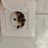 https://cdn-ostrovok-ru-ion.test.edgekey.net/t/100x100/hotel_review/8f/1a/8f1a55e5516b78eef62caa5701498d2e5bfb293d.JPEG