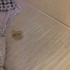 https://cdn-ostrovok-ru-ion.test.edgekey.net/t/100x100/hotel_review/8f/1f/8f1f271d4c4f4f20e81f13cf8ffa6463b5ef7674.JPEG