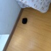 https://cdn-ostrovok-ru-ion.test.edgekey.net/t/100x100/hotel_review/8f/3a/8f3a51f90ee6bcd6972becd773443709f9ee2db1.JPEG