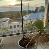 https://cdn-ostrovok-ru-ion.test.edgekey.net/t/100x100/hotel_review/8f/4e/8f4e048a7250b84fee601c3ad557bd88e75132d6.JPEG