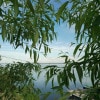 https://cdn-ostrovok-ru-ion.test.edgekey.net/t/100x100/hotel_review/8f/4f/8f4f1d4fd73b0a80db1f22e2e33e51a93a93840b.jpeg