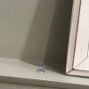 https://cdn-ostrovok-ru-ion.test.edgekey.net/t/100x100/hotel_review/8f/58/8f588bcb31d39e22715c850af839a91fea796fd7.JPEG