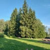 https://cdn-ostrovok-ru-ion.test.edgekey.net/t/100x100/hotel_review/8f/7f/8f7fe51a6a77264bf6d0602d3c0940e771384924.JPEG