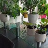 https://cdn-ostrovok-ru-ion.test.edgekey.net/t/100x100/hotel_review/8f/92/8f928ea1c863359c17da5931fc13a9338a84ee82.JPEG