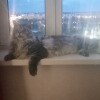 https://cdn-ostrovok-ru-ion.test.edgekey.net/t/100x100/hotel_review/8f/a8/8fa871415ed85b657b6856c48f33c72892994354.JPEG