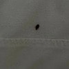 https://cdn-ostrovok-ru-ion.test.edgekey.net/t/100x100/hotel_review/8f/d2/8fd2f4d1ce3d58fc3da7b0b47966551a1dc55840.JPEG
