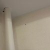 https://cdn-ostrovok-ru-ion.test.edgekey.net/t/100x100/hotel_review/90/16/901623999ee27b1ca6efbe7e078add69d1354f07.JPEG