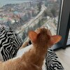 https://cdn-ostrovok-ru-ion.test.edgekey.net/t/100x100/hotel_review/90/5b/905bd92ae7a4af17917b3dc0a2a5601f83af182f.jpeg