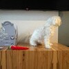 https://cdn-ostrovok-ru-ion.test.edgekey.net/t/100x100/hotel_review/90/5f/905f10595d6cb1d5e6508aaba6b78d1fd81efd4b.JPEG