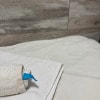 https://cdn-ostrovok-ru-ion.test.edgekey.net/t/100x100/hotel_review/91/11/9111799b5d5f4378b8725c0aa3acb12332decbe4.JPEG