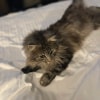 https://cdn-ostrovok-ru-ion.test.edgekey.net/t/100x100/hotel_review/91/21/912159a32ca2959836785860937fdfd7bc62de08.JPEG