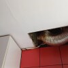 https://cdn-ostrovok-ru-ion.test.edgekey.net/t/100x100/hotel_review/91/3f/913f4478f74fe11ab86c0bd6b0ad023727215983.jpeg
