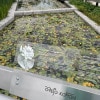 https://cdn-ostrovok-ru-ion.test.edgekey.net/t/100x100/hotel_review/91/44/9144c03f21ef98a43020737140dd2aa0dc33b2ad.jpeg