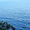 https://cdn-ostrovok-ru-ion.test.edgekey.net/t/100x100/hotel_review/91/4c/914c6b5dbe4962afc98d4351b50ddea262e76d5a.jpeg