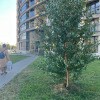 https://cdn-ostrovok-ru-ion.test.edgekey.net/t/100x100/hotel_review/91/c9/91c983d96e335fa077b5654b2279bc4882495562.JPEG