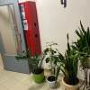 https://cdn-ostrovok-ru-ion.test.edgekey.net/t/100x100/hotel_review/92/0c/920c3319cf51f6e9ae67da980f478a8aa3263595.jpeg