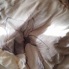 https://cdn-ostrovok-ru-ion.test.edgekey.net/t/100x100/hotel_review/92/1a/921aa15ad90e6b7408e1ae167759328b7ca70fa0.JPEG