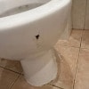 https://cdn-ostrovok-ru-ion.test.edgekey.net/t/100x100/hotel_review/92/20/9220aee941d0a04ce18b66b7a7226f66f662d634.JPEG