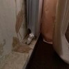 https://cdn-ostrovok-ru-ion.test.edgekey.net/t/100x100/hotel_review/92/5a/925a9736448083f1f034e0c88e9af07133772700.JPEG