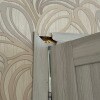 https://cdn-ostrovok-ru-ion.test.edgekey.net/t/100x100/hotel_review/92/8c/928c024aac95e24b5ee246b4a641aa895122f9ec.JPEG