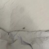 https://cdn-ostrovok-ru-ion.test.edgekey.net/t/100x100/hotel_review/92/ef/92ef71032d68141e27c89a28aae893641d43d177.jpeg