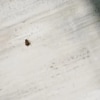 https://cdn-ostrovok-ru-ion.test.edgekey.net/t/100x100/hotel_review/93/30/9330fe8611670338d3b464c160de951c34888472.JPEG