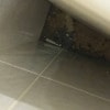 https://cdn-ostrovok-ru-ion.test.edgekey.net/t/100x100/hotel_review/93/3a/933acc81da8b846bc5ebad1212d78d960d18107d.JPEG