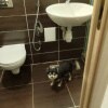 https://cdn-ostrovok-ru-ion.test.edgekey.net/t/100x100/hotel_review/93/6c/936c0d593cbf486dab1bfba83119156a40a18960.jpeg