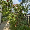 https://cdn-ostrovok-ru-ion.test.edgekey.net/t/100x100/hotel_review/93/78/9378730f49ffd05057e527d6efaa63ef7a76e7ad.JPEG