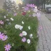 https://cdn-ostrovok-ru-ion.test.edgekey.net/t/100x100/hotel_review/93/9d/939dc32f14f68227bf70485b99242ff71eecb896.JPEG
