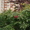 https://cdn-ostrovok-ru-ion.test.edgekey.net/t/100x100/hotel_review/93/ae/93aeab8c7fbb540c39e7e7a74e5872839e81649d.JPEG