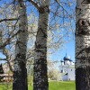 https://cdn-ostrovok-ru-ion.test.edgekey.net/t/100x100/hotel_review/93/c3/93c37826bb45e88b504b9f9d6ef3b855778a15fe.JPEG