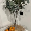 https://cdn-ostrovok-ru-ion.test.edgekey.net/t/100x100/hotel_review/93/cd/93cd4ca845b4982b58f36761f61e4e9ad784c027.jpeg