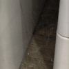 https://cdn-ostrovok-ru-ion.test.edgekey.net/t/100x100/hotel_review/93/d0/93d0e248f3a85b3736cb1b783650f3e6beb5a78e.JPEG