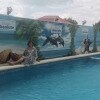 https://cdn-ostrovok-ru-ion.test.edgekey.net/t/100x100/hotel_review/93/e7/93e7d1bfb6e1e875c7889a37d15163d11329c06c.jpeg