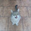 https://cdn-ostrovok-ru-ion.test.edgekey.net/t/100x100/hotel_review/94/1f/941fa541906559ba65d9574ee90ade0cbcb58a4a.JPEG
