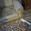 https://cdn-ostrovok-ru-ion.test.edgekey.net/t/100x100/hotel_review/94/3f/943f4db1788109f93a73065184522af060001ebc.JPEG