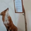 https://cdn-ostrovok-ru-ion.test.edgekey.net/t/100x100/hotel_review/94/56/945674f0b0b9142e6d1906bb266b0823e3734a58.JPEG