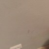 https://cdn-ostrovok-ru-ion.test.edgekey.net/t/100x100/hotel_review/94/6d/946d47273e43ea54cc8fe29f933f96252044cade.JPEG