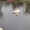 https://cdn-ostrovok-ru-ion.test.edgekey.net/t/100x100/hotel_review/94/72/9472e24083f69a9a34c2efee428023ece3ae83dd.JPEG