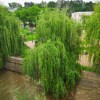 https://cdn-ostrovok-ru-ion.test.edgekey.net/t/100x100/hotel_review/94/c0/94c097515a2d1e9471a08ebf1239c30fe9878ace.JPEG