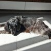 https://cdn-ostrovok-ru-ion.test.edgekey.net/t/100x100/hotel_review/94/d0/94d061365203e3cadacffecd531d5926c7b846bb.JPEG