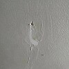 https://cdn-ostrovok-ru-ion.test.edgekey.net/t/100x100/hotel_review/94/d2/94d2ba39f3cfdc8cab27e3b028ed8d448844d3fd.JPEG