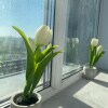https://cdn-ostrovok-ru-ion.test.edgekey.net/t/100x100/hotel_review/94/e9/94e9818bad5b3f0cb3e541cd7d32eb4c33ecc376.JPEG
