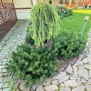 https://cdn-ostrovok-ru-ion.test.edgekey.net/t/100x100/hotel_review/94/f6/94f6a9c2f56b02857c9810517827c64b45f649bf.JPEG