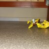 https://cdn-ostrovok-ru-ion.test.edgekey.net/t/100x100/hotel_review/95/06/9506458a109b123d668d8ccf54a92716ccd5f2e9.JPEG