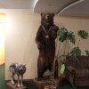https://cdn-ostrovok-ru-ion.test.edgekey.net/t/100x100/hotel_review/95/15/9515a2772c81fe3d67e93e188a162a32e092b73e.JPEG