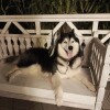 https://cdn-ostrovok-ru-ion.test.edgekey.net/t/100x100/hotel_review/95/31/9531f048cd8f6764bb36eced90d4b168b1ca79e4.jpeg