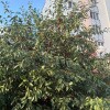 https://cdn-ostrovok-ru-ion.test.edgekey.net/t/100x100/hotel_review/95/5e/955e84ded31b369b88cd851753ff28c78c781875.JPEG